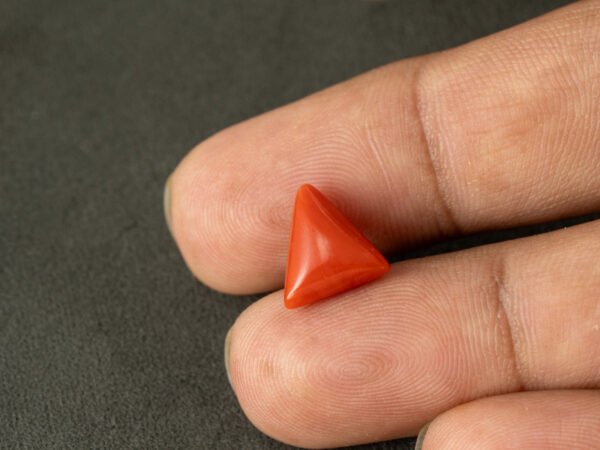 italian red coral moonga 4.44 carat in hand size reference