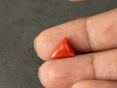 italian red coral moonga 4.44 carat in hand size reference