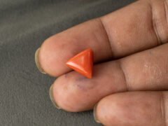 Italian red coral moonga 5.03 carat in hand size reference