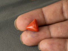 Italian red coral moonga 5.17 carat in hand size reference