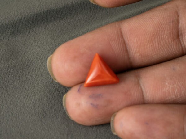 Italian red coral moonga 5.26 carat in hand size reference