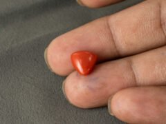 Italian red coral moonga 5.28 carat in hand size reference