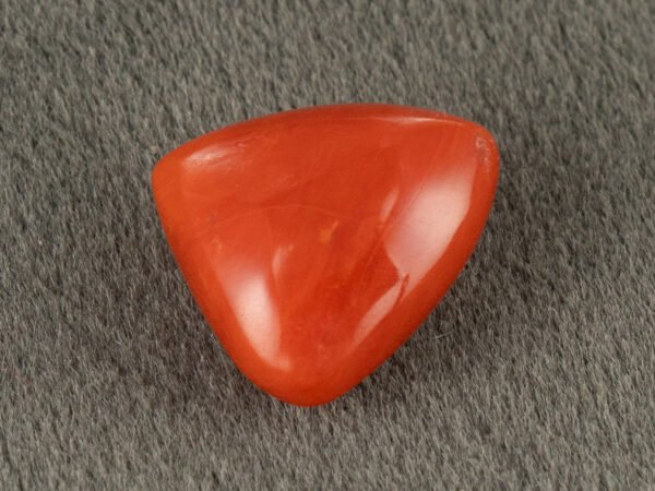 Italian red coral moonga 5.28 carat side profile depth reference