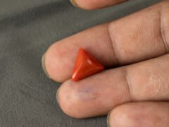 Italian red coral moonga 5.31 carat in hand size reference