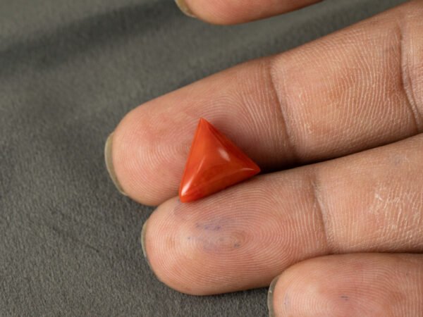 Italian red coral moonga 5.31 carat in hand size reference