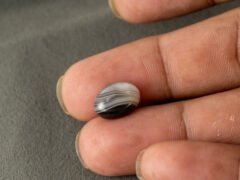 Sulemani Hakik 4.80 Carat in-hand size reference 13.2 x 9.3 mm