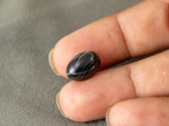 Sulemani Hakik 7.11 Carat in-hand size reference 14.3 x 10 mm