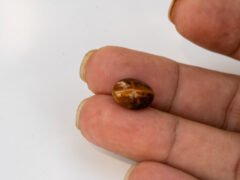 natural tiger eye stone 7.87 carat in hand size reference