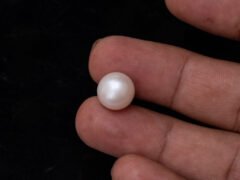Cultured Pearl Moti 10.18 carat in-hand actual size SKU RG-PEARL-B1-10.18-12x9
