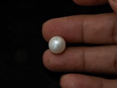 Cultured Pearl Moti 10.46 carat in-hand actual size