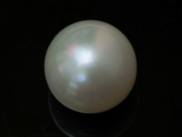 Cultured Pearl Moti 10.46 carat side view creamish white
