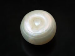 Cultured Pearl Moti 10.84 carat back view rounded shape