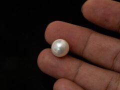 Cultured Pearl Moti 10.91 carat in-hand actual size