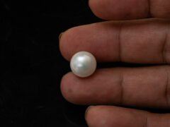 Cultured Pearl Moti 10.99 carat in-hand actual size