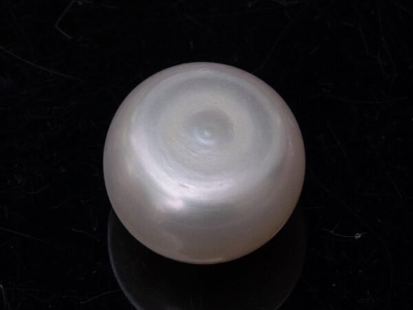 Cultured Pearl Moti 11.40 carat back view rounded surface SKU RG-PEARL-B1-11.40-11.4x8.7