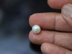 Cultured Pearl Moti 4.98 carat in hand actual size