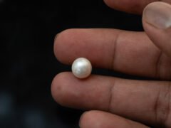 Cultured Pearl Moti 5.78 carat in hand actual size