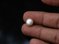 Cultured Pearl Moti 5.86 carat in hand actual size