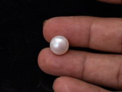 Cultured Pearl Moti 8.56 carat in-hand actual size SKU RG-PEARL-B1-8.56-12x8-2