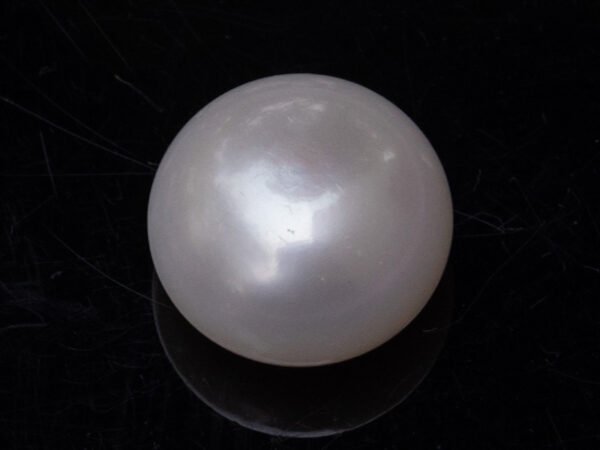 Cultured Pearl Moti 8.87 carat back view rounded surface SKU RG-PEARL-B1-8.87-12x8