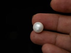 Cultured Pearl Moti 9.28 carat in-hand actual size