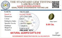 Cat's Eye certificate TSGTL3439 for Quartz Cat's Eye (Lahsuniya) 8.09 Carat (8.89 Ratti) Oval Cabochon