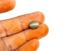 Quartz Cats Eye Lahsuniya 4.28 Carat in-hand view gray cabochon