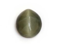 Quartz Cats Eye Lahsuniya 5.54 Carat top view gray cabochon