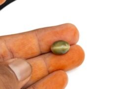 Quartz Cats Eye Lahsuniya 7.81 Carat in-hand view gray cabochon