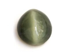 Quartz Cats Eye Lahsuniya 8.87 Carat top view gray cabochon