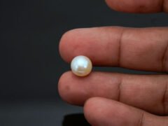 Cultured Pearl Moti 6.07 carat in-hand actual size