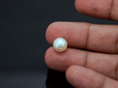 Cultured Pearl Moti 6.13 carat in-hand actual size