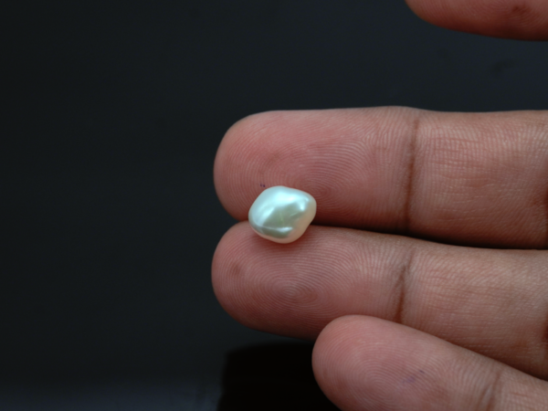 Keshi Pearl Moti 4.49 carat in-hand actual size baroque shape