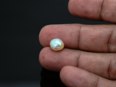 Keshi Pearl Moti 4.71 carat in-hand actual size baroque shape