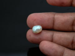 Keshi Pearl Moti 5.37 carat in-hand actual size baroque shape