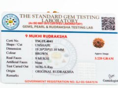 Laboratory certificate for Original 9 Mukhi Rudraksha TSGTL4041
